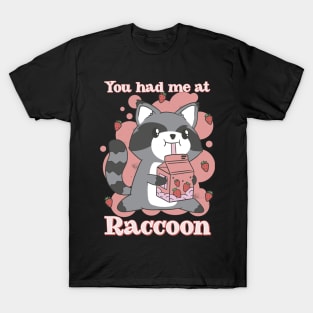 You had me at raccoon T-Shirt